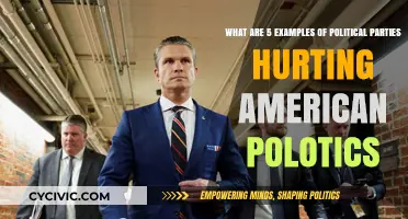 How Political Parties Are Damaging American Politics: 5 Key Examples