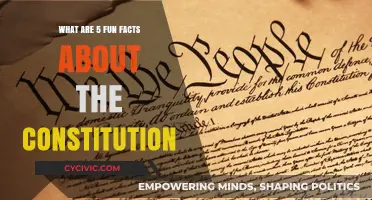 Fun Facts About the Constitution Revealed!