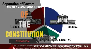 Vital Constitutional Features: Understanding the Foundation of Governance