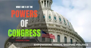 Congress Powers: 5 Key Abilities of US Lawmakers
