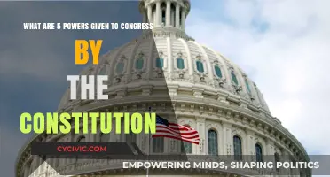 Congress' Constitutional Powers: 5 Key Abilities