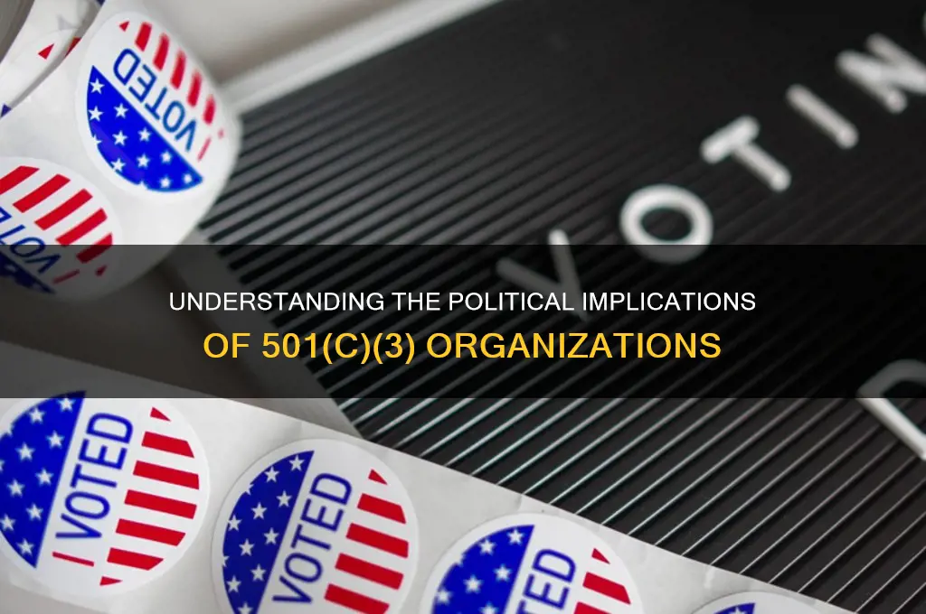 what are 501s political