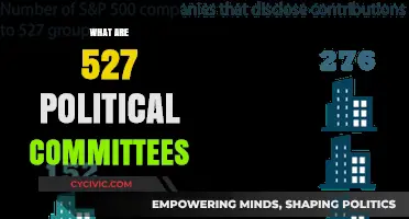 Understanding 527 Political Committees: Role, Impact, and Influence Explained