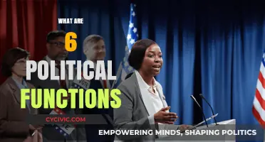 Understanding the Core Political Functions Shaping Governance and Society