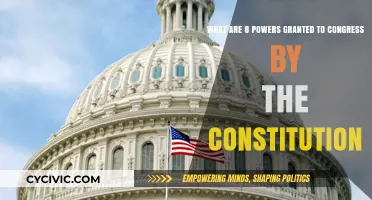 Congressional Powers: Constitutional Authority Explained