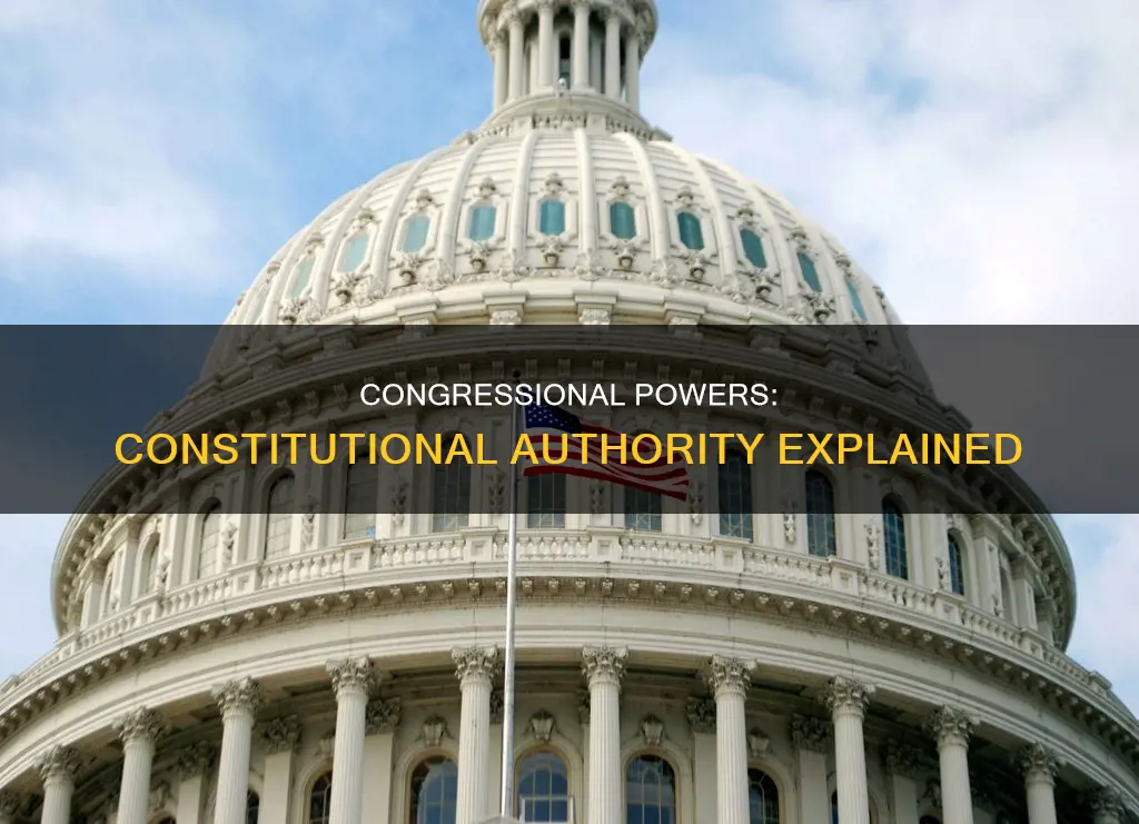 what are 8 powers granted to congress by the constitution