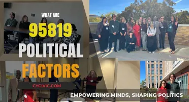 Understanding Political Factors: Exploring the Dynamics of 95819