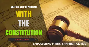 The Constitution: Flaws and All