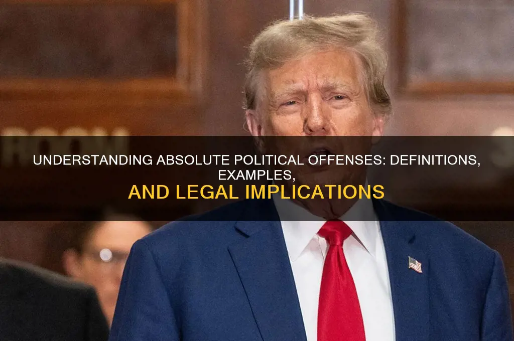 what are absolute political offenses