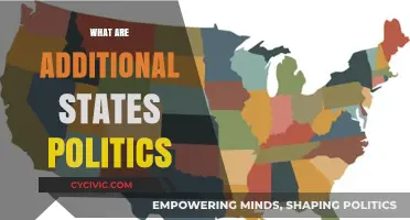 Understanding Additional States Politics: Dynamics, Influence, and Policy Implications