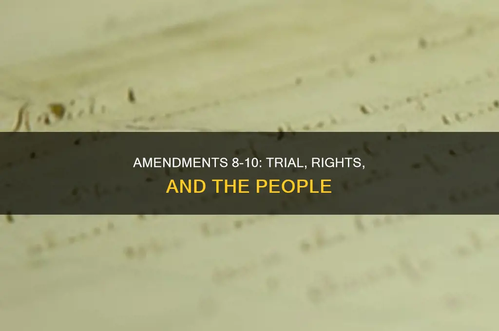 what are all 10 amendments