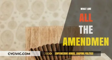 Amendments: The Evolution of Our Rights