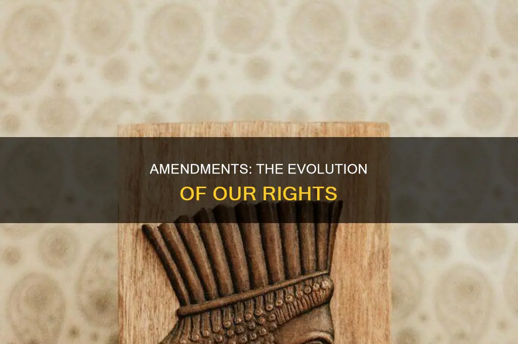 what are all the amendment