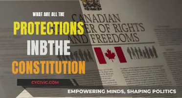 The Constitution's Safeguards: Our Fundamental Protections and Freedoms