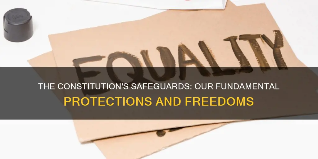 what are all the protections inbthe constitution