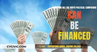 Funding Political Campaigns: Exploring All Sources