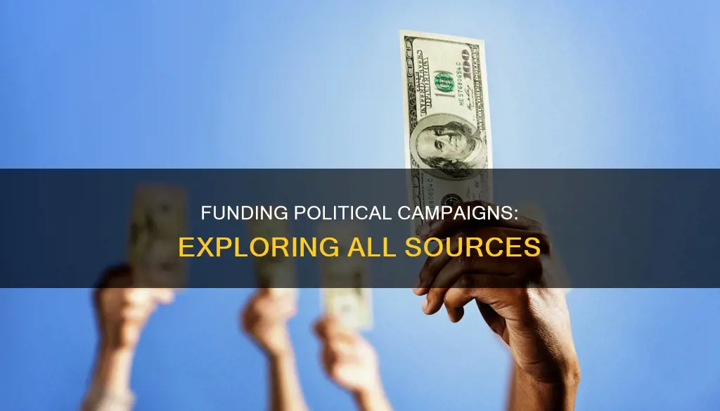 what are all the ways political campaigns can be financed