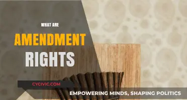 Amendments: Our Rights and Their Evolution