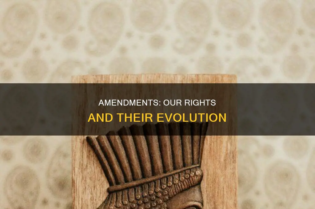 what are amendment rights