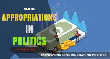 Understanding Appropriations: How Political Funding Allocations Shape Policy and Governance