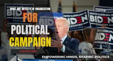 Understanding Political Campaign Organization: Articles of Association