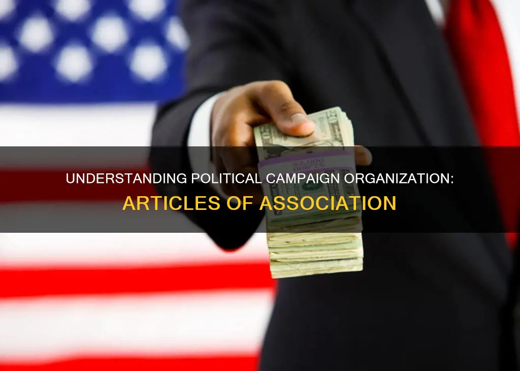what are articles of organization for political campaign