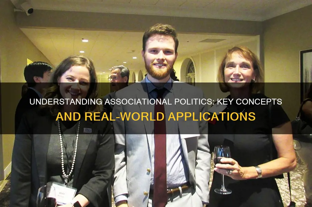 what are associational politics
