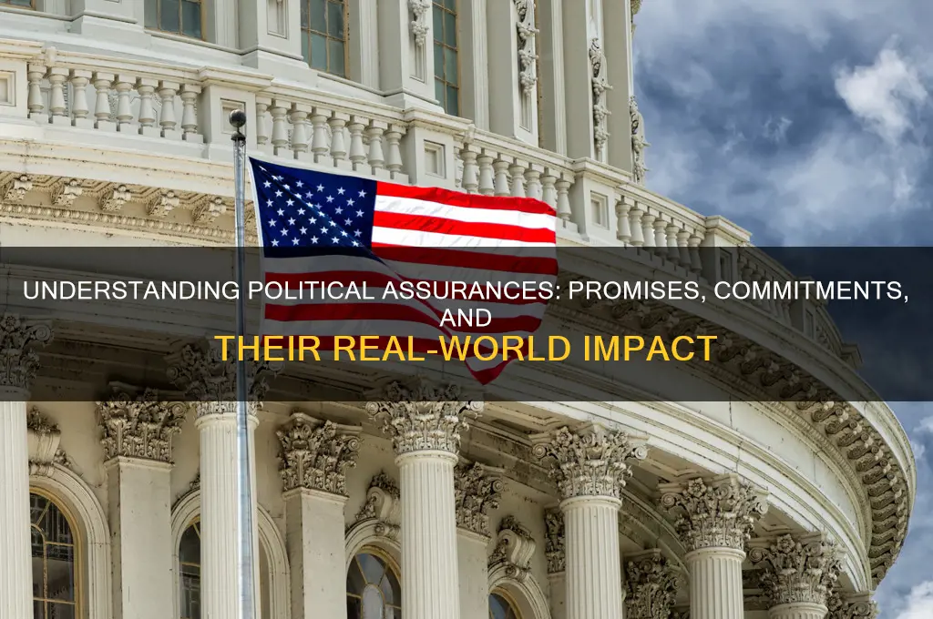 what are assurances in politics