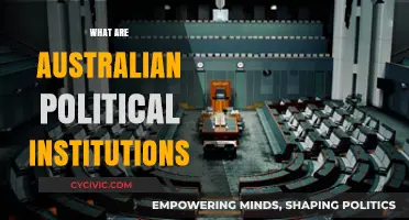 Understanding Australia's Political Institutions: Structure, Roles, and Influence