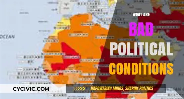 Understanding Bad Political Conditions: Causes, Consequences, and Solutions