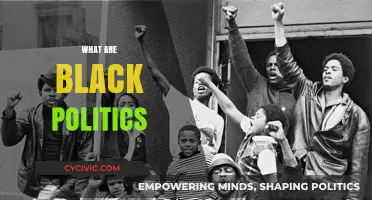 Understanding Black Politics: History, Movements, and Contemporary Issues