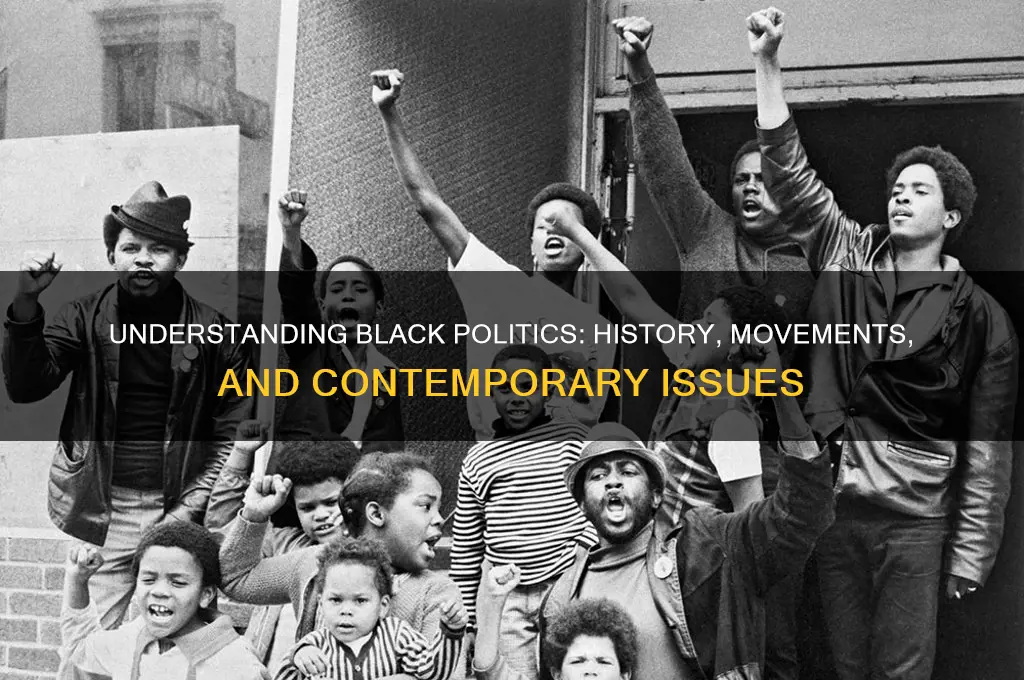 what are black politics