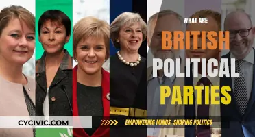 Understanding British Political Parties: Structures, Ideologies, and Influence