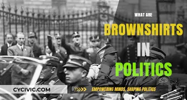 Understanding Brownshirts: Their Role and Impact in Political Movements