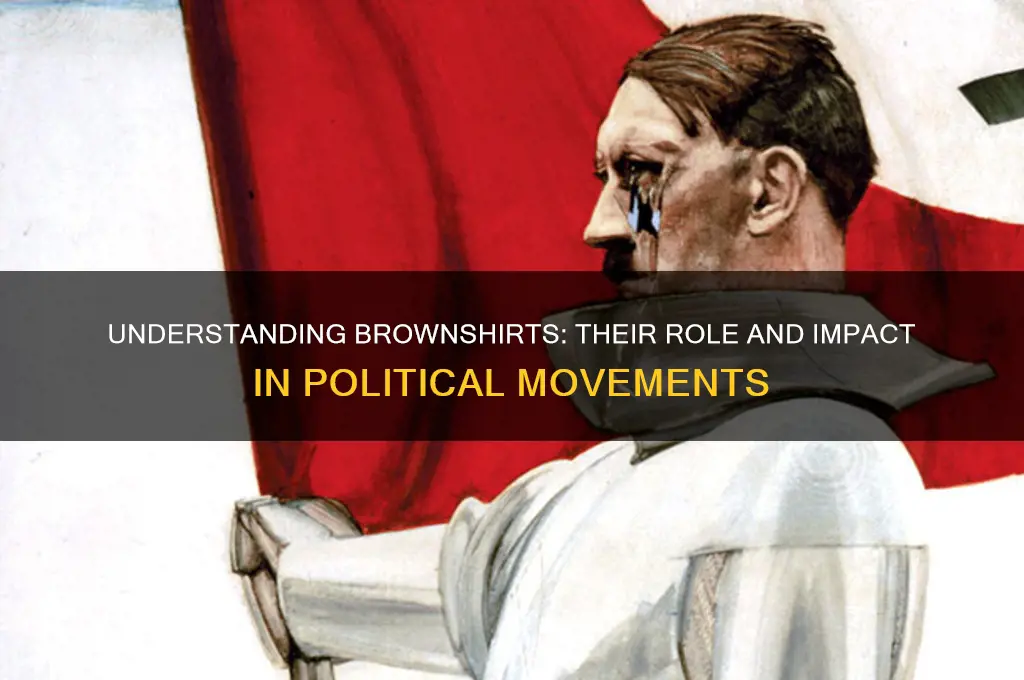 what are brownshirts in politics