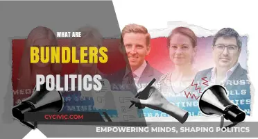Understanding Bundlers Politics: Influence, Fundraising, and Campaign Strategies