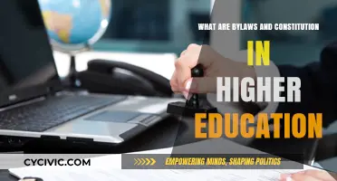 Understanding Higher Ed: Bylaws and Constitution