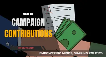 Understanding Campaign Contributions: Where Does the Money Go?