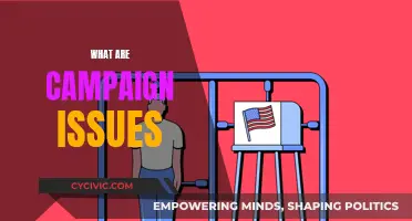 Campaign Issues: Understanding Political Promises and Problems