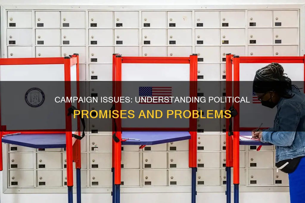 what are campaign issues