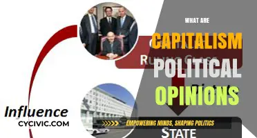 Capitalism's Political Spectrum: Ideologies, Debates, and Global Influence Explored