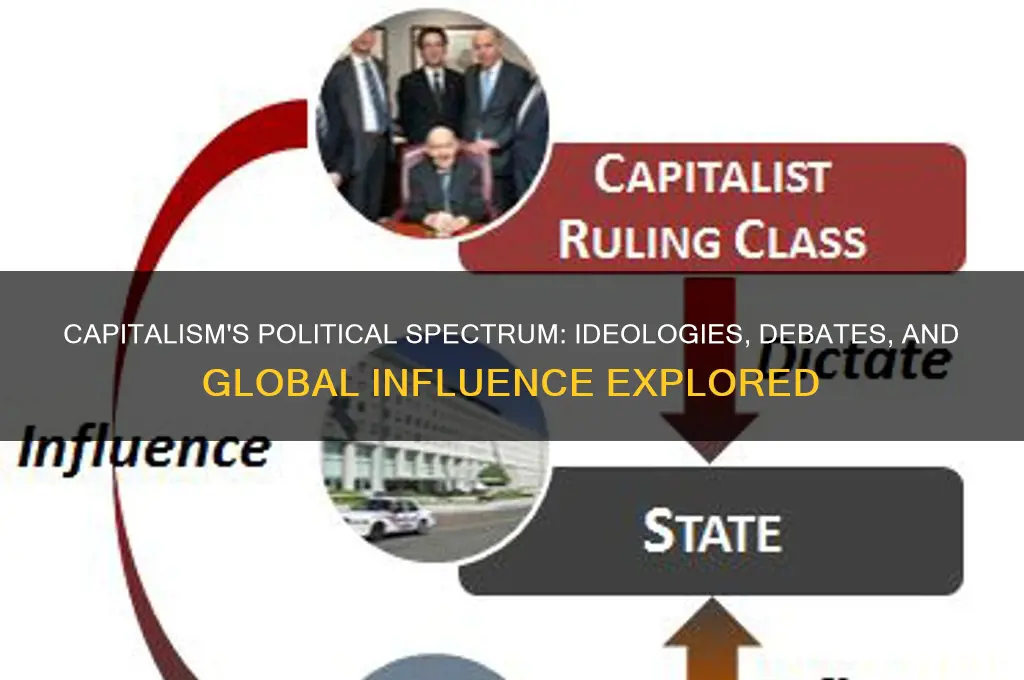 what are capitalism political opinions