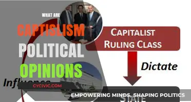 Exploring Capitalism's Political Spectrum: Ideologies, Debates, and Global Impact