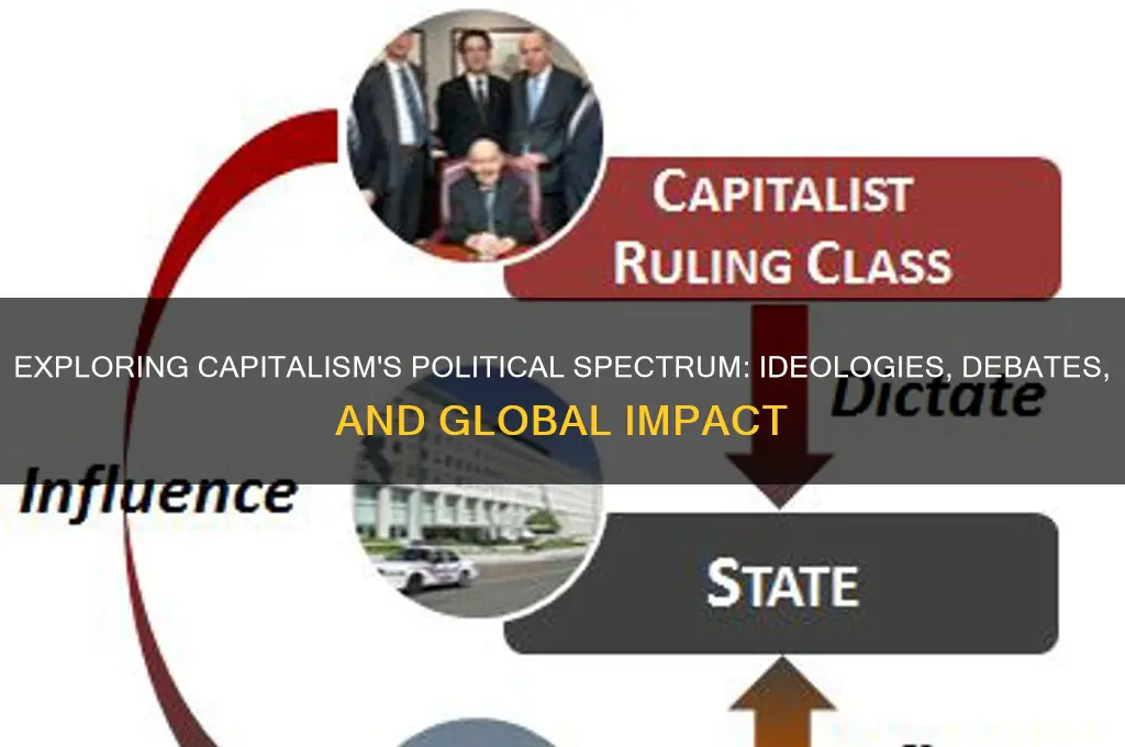 what are captislism political opinions