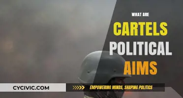 Cartels' Political Goals: Power, Influence, and State Control Explained