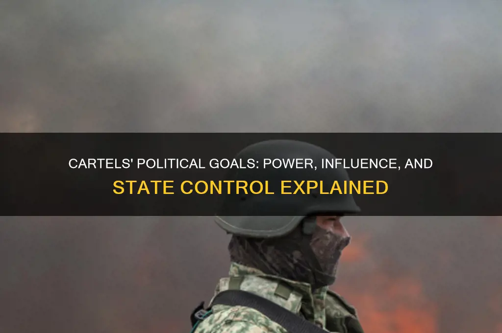 what are cartels political aims