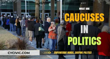 Understanding Political Caucuses: How They Shape Elections and Party Dynamics