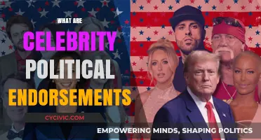 Celebrity Political Endorsements: Influence, Impact, and Public Perception Explained