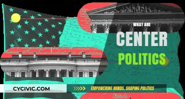 Understanding Center Politics: Balancing Ideologies in Modern Governance