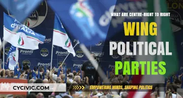 Understanding Centre-Right to Right-Wing Political Parties: Ideologies and Policies